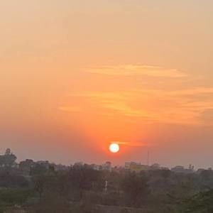 Meet your Posher, Everly